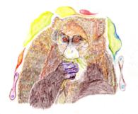 ブラッツアグエノン