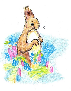 エゾリスかたくり